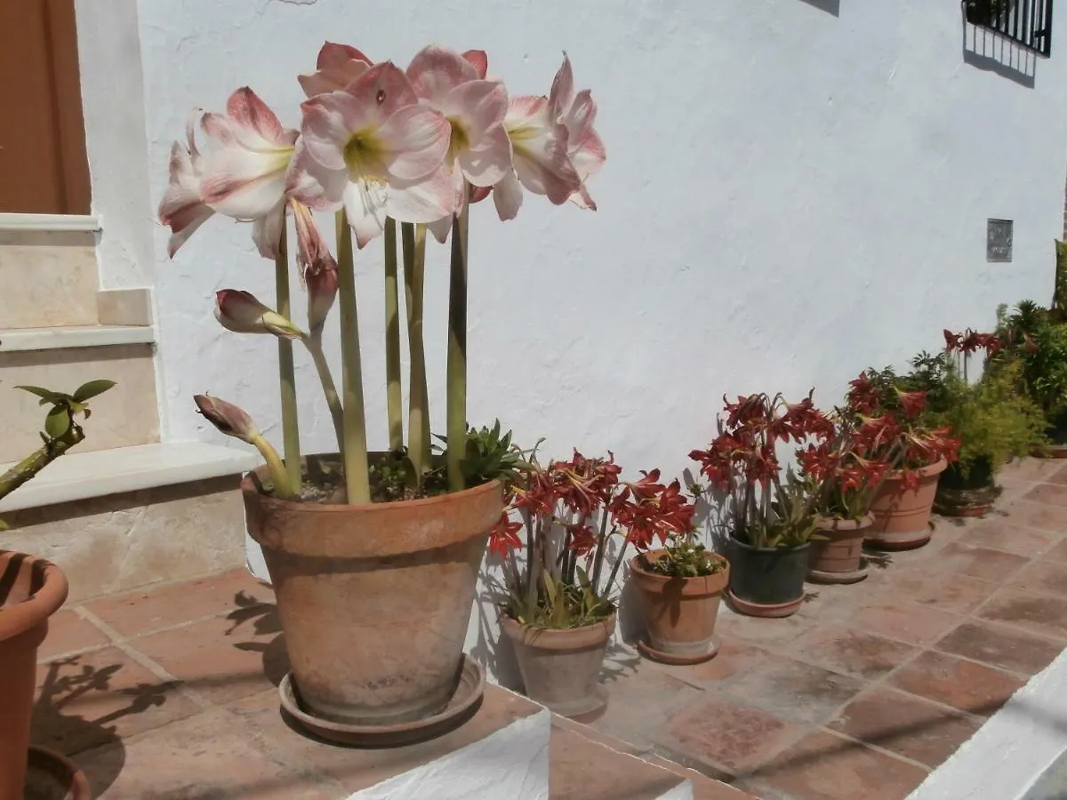 Casa Alta B&B トロクス・コスタ 0*,  スペイン